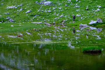 Laghi d'Olbe, Sappada, Dolomiti