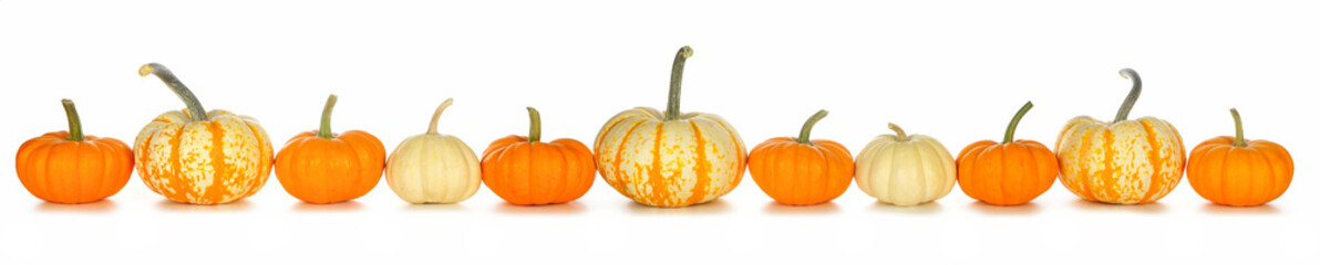 Fall border arrangement of orange, white and striped pumpkins. Side view row isolated on a white...