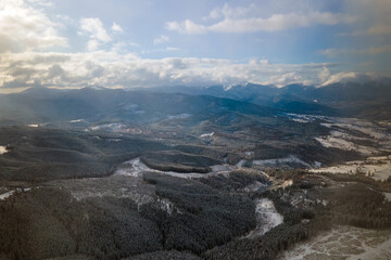 Winter landscape with spruse trees of snow covered forest in cold mountains.