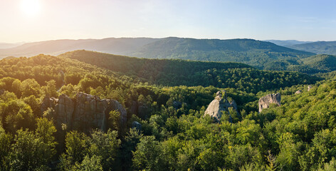 Panoramic view of bright landscape with green forest trees and big rocky boulders between dense woods in summer. Beautiful scenery of wild woodland.
