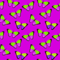 Bright tropical butterflies on a crimson background, seamless pattern