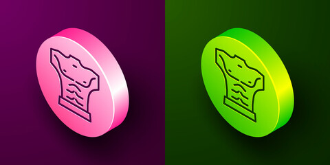 Isometric line Bodybuilder showing his muscles icon isolated on purple and green background. Fit fitness strength health hobby concept. Circle button. Vector