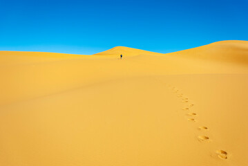 Fototapeta na wymiar man walking in the desert dunes