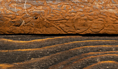 Deski drewno na elewacji budynku © Robert