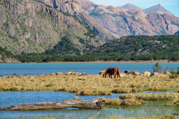 beautiful patagonia scenery with lakes, mountains and a horse