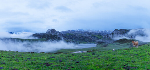 Lluvia en el lago