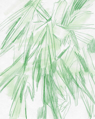 Abstract botanical art. Decorative artistic image for creative design projects: posters, banners, cards, websites and wallpapers. Unique artistic style. Pencil on paper.