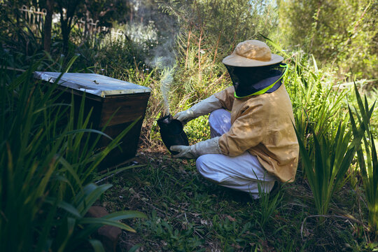 Caucasian senior man wearing beekeeper uniform trying to calm bees with smoke