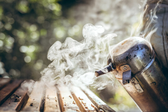 Hands of caucasian senior man wearing beekeeper uniform trying to calm bees with smoke