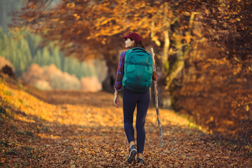 Woman Traveller on Country Road Near Mountain Forest