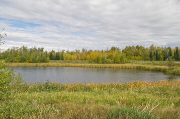 Pylypow Wetlands on a Cloudy Summer Day