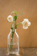 Beautiful hyacinth flowers in glass vase on light blurred background