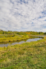 Naklejka premium Pylypow Wetlands on a Cloudy Summer Day