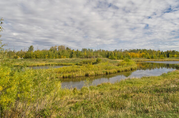 Pylypow Wetlands on a Cloudy Summer Day