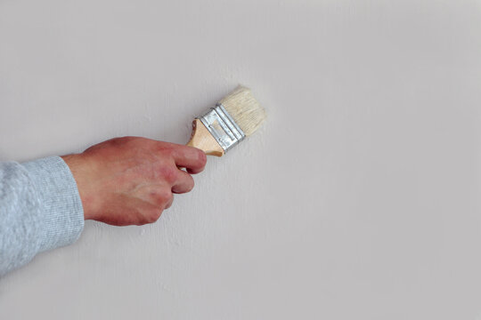 The concept of carrying out repairs in the house independently. Paint brush in the hand of a man on a gray wall, side view, space for text