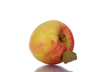 One juicy sweet apple, close-up, isolated on white.