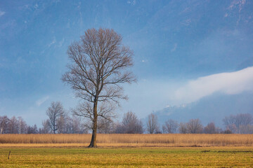 riserva naturale Pian di Spagna