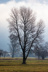 riserva naturale Pian di Spagna