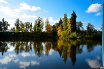 Fototapeta na wymiar a beautiful golden autumn reflection in a lake with different colored trees and blue skies