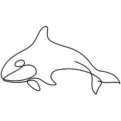 One line orca silhouette. Killer whale vector illustration