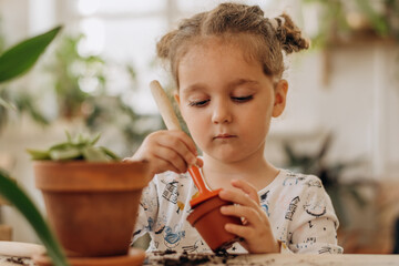 Serious little mixed-race dark-haired girl is planting houseplants in terracotta ceramic pots at home.Family leisure, hobby concept.Home gardening.Biophilia design and urban jungle concept.