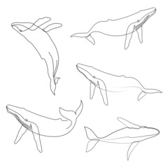 One line whale design silhouette collection. Hand drawn minimalism style vector illustration set © ad_stock