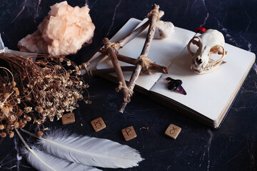 Magic altar of the witch. An open spell book, a cat skull, bird feathers, wooden runes, and dried...