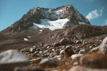 Gletscher in den Alpen - 459749750