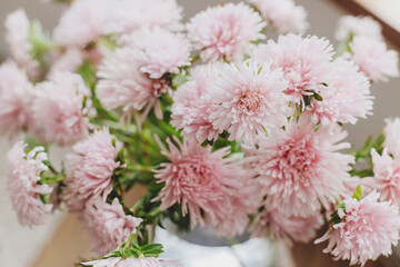 Beautiful autumn flowers close up in modern vase in rustic room. Pink asters flowers in sunny light close up. Floral arrangement for fall holidays in countryside home. Wallpaper