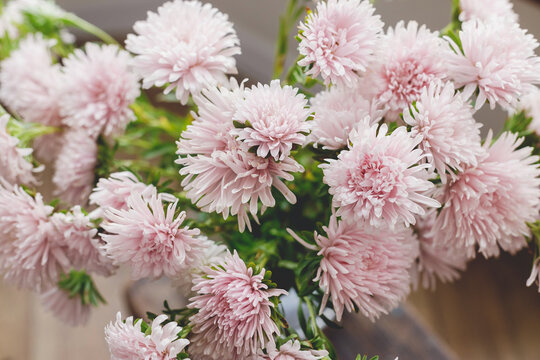 Beautiful Autumn Flowers Close Up In Modern Vase In Rustic Room. Pink Asters Flowers In Light Close Up. Floral Arrangement For Fall Holidays In Countryside Home. Wallpaper