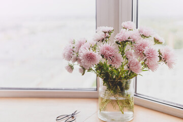 Beautiful autumn flowers and scissors  in light on wooden windowsill. Pink asters flowers at big windows in modern room. Floral decoration for fall holidays in cozy home. Space for text