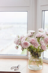 Beautiful autumn flowers and scissors  in light on wooden windowsill. Pink asters flowers at big windows in modern room. Floral decoration for fall holidays in cozy home. Space for text