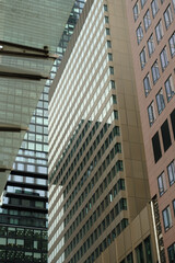 Fototapeta premium Frankfurt is the business city