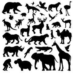 Set of animals and birds silhouettes isolated on a white background.Vector collection of zoo animals and birds.