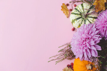 Thanksgiving flat lay. Stylish pumpkins, purple dahlias flowers, leaves and heather on pink background. Modern minimal fall border with space for text. Happy Thanksgiving and Halloween card