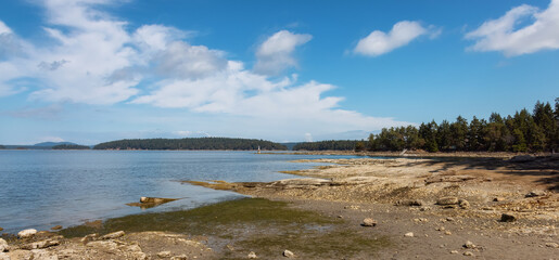 Rocky Shore with Canadian Nature Landscape on the Pacific Ocean West Coast. Sunny Summer Day. Southey Point, Salt Spring Island, BC, Canada. Background