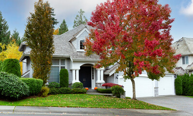 Suburban home during early autumn as leaves turn yellow and red - 459751509