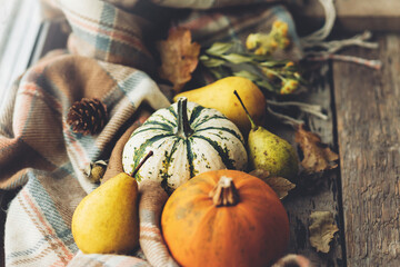 Happy Thanksgiving. Stylish pumpkins, autumn leaves, pears and cozy scarf on rustic old wooden...
