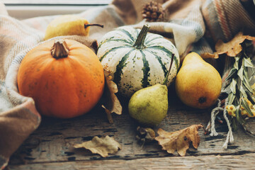 Autumn in countryside. Stylish pumpkins, autumn leaves, pears and cozy scarf on rustic old wooden background. Rural fall harvest composition. Happy Thanksgiving and Halloween. Atmospheric