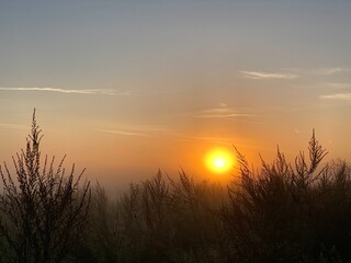 Fototapeta premium brume matinale