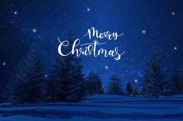 Winter landscape with Merry Christmas text