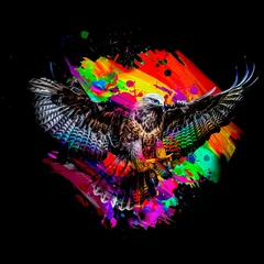 Foto op Canvas Colorful artistic eagle muzzle with bright paint splatters on dark background © reznik_val
