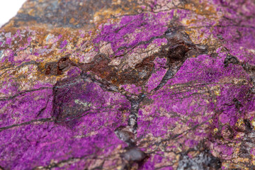 Macro mineral stone purpureus, (purple) purpurite in the breed a white background