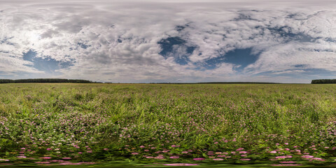 Obraz premium 360 seamless hdri panorama view among field of pink clover in summer day with cloudy sky in equirectangular spherical projection, ready AR VR virtual reality content