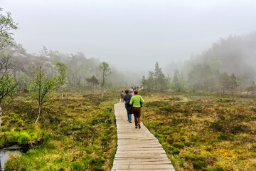 Obraz premium A Short Easy Footpath to Preikestolen, Lysefjord - Norway -