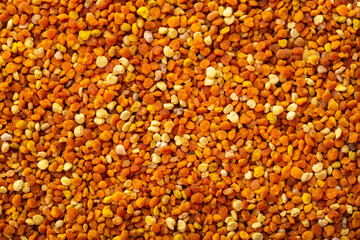 Pollen, beekeeping products close-up as a background. Bee Perga.