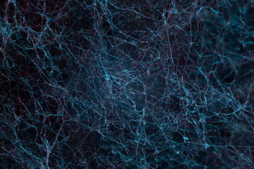 Abstract connected dots on bright blue background.