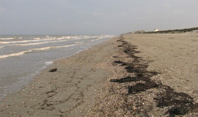 the sea and the sandy beach at the french coast in normandy in summer