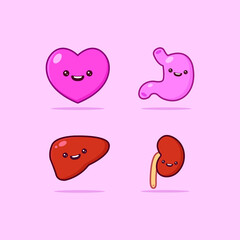 Set of human organs like liver, stomach, kidney
