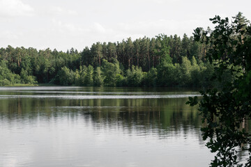 New pond in Stříbřec, South Bohemia